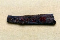 藏品(鹿角)的圖片